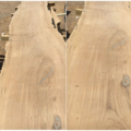 dąb surowy