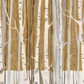 Tapeta włoskiej marki Tecnografica Alberi Infinity z kolekcji Decoratives wariant 1 Brown