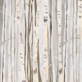 Tapeta włoskiej marki Tecnografica Alberi Infinity z kolekcji Decoratives wariant 1 White