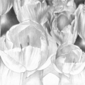 Tapeta włoskiej marki Tecnografica Cristina Iotti: Stillness z kolekcji Art Collections wariant 1 Stillness