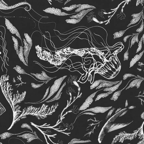 Tapeta-Tecnografica-Feanne-Sealife-kolekcja-Art-Collections-Black Tapeta włoskiej marki Tecnografica Feanne: Sealife z kolekcji Art Collections wariant 1 Black