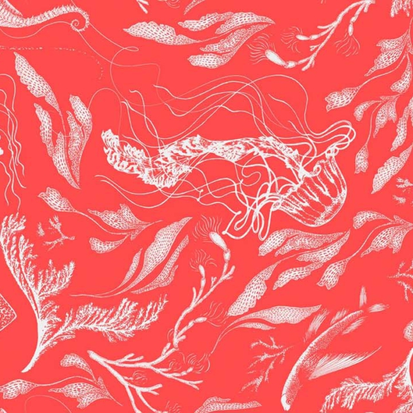 Tapeta-Tecnografica-Feanne-Sealife-kolekcja-Art-Collections-Coral Tapeta Tecnografica Feanne: Sealife kolekcja Art Collections wariant 4 Coral