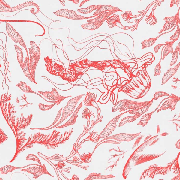 Tapeta-Tecnografica-Feanne-Sealife-kolekcja-Art-Collections-Coral-White Tapeta Tecnografica Feanne: Sealife z kolekcji Art Collections wariant 5 Coral White