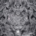 Tapeta włoskiej marki Tecnografica Giorgia Beltrami: Faxtum z kolekcji Art Collections wariant 1 Anthracite