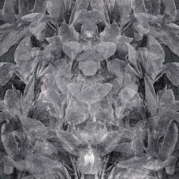 Tapeta-Tecnografica-Giorgia-Beltrami-Faxtum-kolekcja-Art-Collections-Anthracite Tapeta włoskiej marki Tecnografica Giorgia Beltrami: Faxtum z kolekcji Art Collections wariant 1 Anthracite