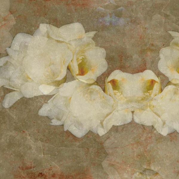 Tapeta-Tecnografica-Giorgia-Beltrami-Fresia-kolekcja-Art-Collections-Ocra Tapeta włoskiej marki Tecnografica Giorgia Beltrami: Fresia z kolekcji Art Collections wariant 1 Ocra