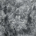 Tapeta Tecnografica Giorgia Beltrami: Genus z kolekcji Art Collections wariant 5 Blackboard
