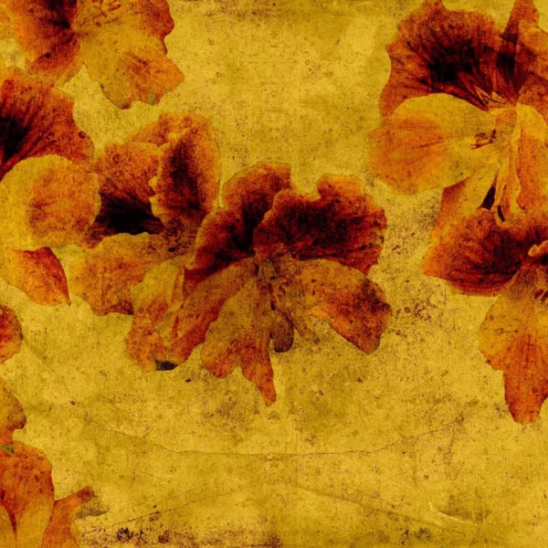 Tapeta-Tecnografica-Giorgia-Beltrami-Gerani-kolekcja-Art-Collections-Gold Tapeta włoskiej marki Tecnografica Giorgia Beltrami: Gerani z kolekcji Art Collections wariant 1 Gold