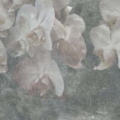 Tapeta Tecnografica Giorgia Beltrami: Paestum kolekcja Art Collections wariant 4 Grey Light