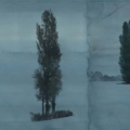 Tapeta Tecnografica Giorgia Beltrami: Pensiero Naturale kolekcja Art Collections