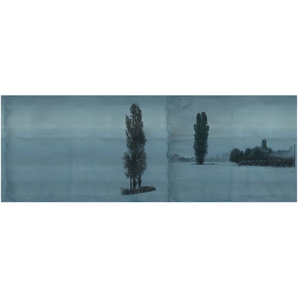 Tapeta-Tecnografica-Giorgia-Beltrami-Pensiero-Naturale-kolekcja-Art-Collections-Juliet- Tapeta włoskiej marki Tecnografica Giorgia Beltrami: Pensiero Naturale z kolekcji Art Collections wariant 1 Juliet