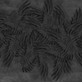 Tapeta Tecnografica Hermès kolekcja Animalier wariant 1 Total Black