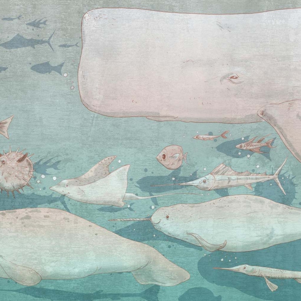 Tapeta-Tecnografica-Jonah-kolekcja-Decoratives-Salmon Tapeta Tecnografica Jonah kolekcja Decoratives wariant 1 Salmon