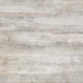 Tapeta włoskiej marki Tecnografica Leo Bellei: Paper z kolekcji Art Collections wariant 1 ALMOND