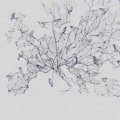Tapeta włoskiej marki Tecnografica Marco Fontana: Tutti i rami z kolekcji Art Collections wariant 1 Blue