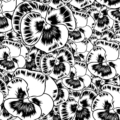 Tapeta włoskiej marki Tecnografica Roberto Baldazzini: Aurora floreale z kolekcji Art Collections wariant 1 Black and white