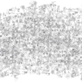 Tapeta włoskiej marki Tecnografica The Sign: Rabbicats z kolekcji Art Collections wariant 1 BLACK AND WHITE