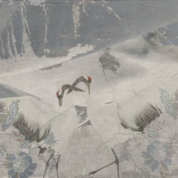 Tapeta-Tecnografica-The-Sisters-Airon-kolekcja-Art-Collections-grey Tapeta włoskiej marki Tecnografica The Sisters: Airon z kolekcji Art Collections wariant 1 grey