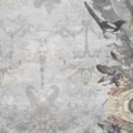 Tapeta włoskiej marki Tecnografica The Sisters: Legolas z kolekcji Art Collections wariant 1 Elf Grey