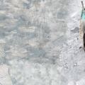Tapeta włoskiej marki Tecnografica The Sisters: Millennium z kolekcji Art Collections wariant 1 ICE