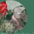 Tapeta Tecnografica The Sisters: New Rio kolekcja Art Collections