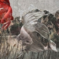 Tapeta włoskiej marki Tecnografica The Sisters: Rio z kolekcji Art Collections wariant 1 RIO