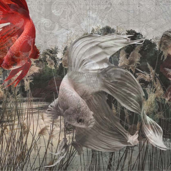 Tapeta-Tecnografica-The-Sisters-Rio-kolekcja-Art-Collections-RIO Tapeta włoskiej marki Tecnografica The Sisters: Rio z kolekcji Art Collections wariant 1 RIO