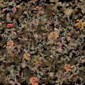 Tapeta włoskiej marki Tecnografica Tropicana z kolekcji Decoratives wariant 1 Colorful A
