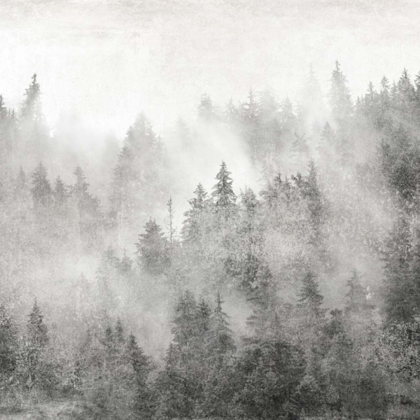 Tapeta-Tecnografica-Yukonic-kolekcja-Landscapes-Black Tapeta włoskiej marki Tecnografica Yukonic z kolekcji Landscapes wariant 1 Black
