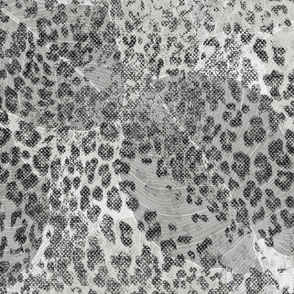 743C-Savannah-Ghepard 743C-Savannah-Ghepard