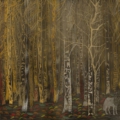 Tapeta Skinwall MISTERY 67 z kolekcji Peeking Nature motywy: krajobraz, rośliny, zwierzęta, kolory: brązowy, żółty, biały - wariant 1