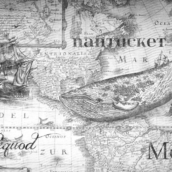 Tapeta-Skinwall-MOBY-34-z-kolekcji-Travelling-Mind-1 Tapeta Skinwall MOBY 34 z kolekcji Travelling Mind motywy: miasta mapy, kolory: biały, szary - wariant 1