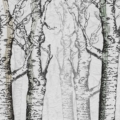 Tapeta Skinwall NORWEGIAN WOOD 04 z kolekcji Peeking Nature motywy: krajobraz, rośliny, zwierzęta, kolory: szary, grafitowy, brązowy - wariant 1