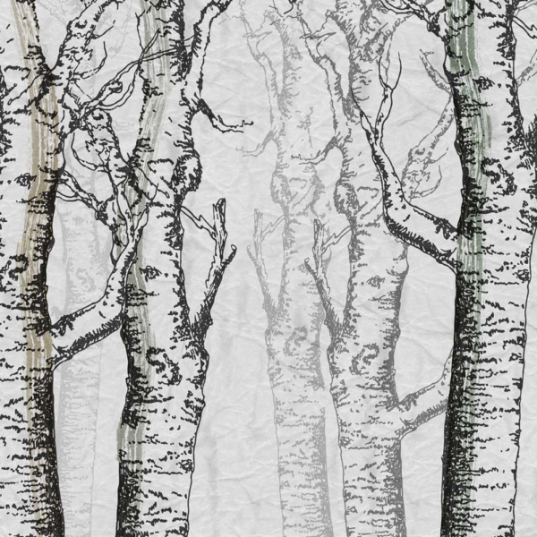 Tapeta-Skinwall-NORWEGIAN-WOOD-04-z-kolekcji-Peeking-Nature-1 Tapeta Skinwall NORWEGIAN WOOD 04 z kolekcji Peeking Nature motywy: krajobraz, rośliny, zwierzęta, kolory: szary, grafitowy, brązowy - wariant 1