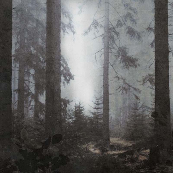 Tapeta-Skinwall-SOUND-OF-SILENCE-717--z-kolekcji-Suite-Collection-1 Tapeta Skinwall SOUND OF SILENCE 717 z kolekcji Suite Collection motywy: krajobraz, rośliny, liście, kolory: biały, szary, grafitowy, czarny - wariant 1