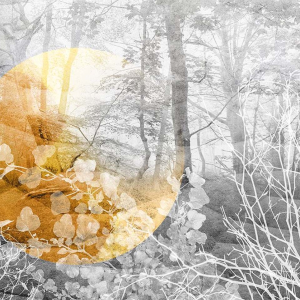 Tapeta-Skinwall-UNDERGROWTH-SUN-120-z-kolekcji-Peeking-Nature-1 Tapeta Skinwall UNDERGROWTH SUN 120 z kolekcji Peeking Nature motywy: krajobraz, liście, rośliny, kolory: biały, szary, zółty - wariant 1