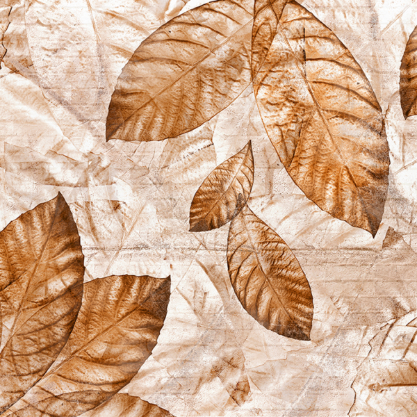 wallpaper05C wallpaper05C