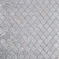 Sicis Vetrite z kolekcji Vetrite Decorativa model Cobra Aluminium to wielkoformatowy panel szklany o wymiarach 25,8x32 cm. Kolory tego modelu to: szary, biały, srebrny, a możliwe wykończenia powierzchni: Satin.