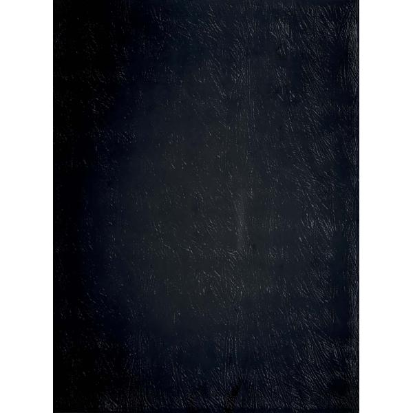 Sicis-Vetrite-Vetrite-Feather-Black-wielkoformatowy-panel-szklany-120x280-cm-czarny-grafitowy-2 Sicis Vetrite z kolekcji Vetrite model Feather Black to wielkoformatowy panel szklany o wymiarach 120x280 cm. Kolory tego modelu to: czarny, grafitowy, a możliwe wykończenia powierzchni: Satin.