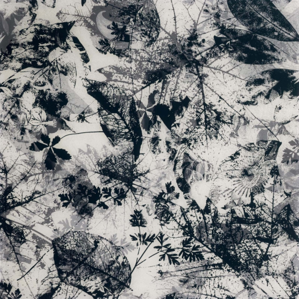 Sicis-Vetrite-Vetrite-Ricordo-Black-Ele-Panna-wielkoformatowy-panel-szklany-120x120-cm-bialy-szary-brazowy-grafitowy-2 Sicis Vetrite z kolekcji Vetrite model Ricordo Black Ele-Panna to wielkoformatowy panel szklany o wymiarach 120x120 cm. Kolory tego modelu to: biały, szary, brązowy, grafitowy, a możliwe wykończenia powierzchni: Satin.