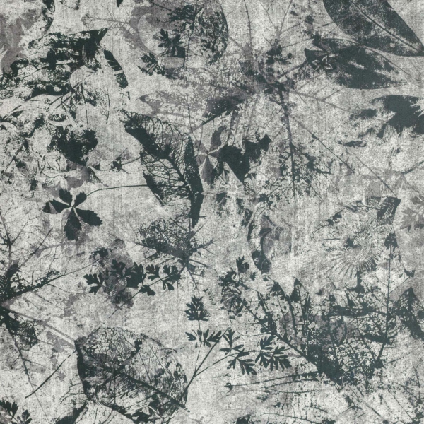 Sicis-Vetrite-Vetrite-Ricordo-Black-Per-Grey-wielkoformatowy-panel-szklany-120x120-cm-bialy-szary-brazowy-grafitowy-2 Sicis Vetrite z kolekcji Vetrite model Ricordo Black Per-Grey to wielkoformatowy panel szklany o wymiarach 120x120 cm. Kolory tego modelu to: biały, szary, brązowy, grafitowy, a możliwe wykończenia powierzchni: Satin.