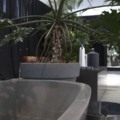 Antoniolupi Baia wanna wolnostojąca design Carlo Colombo